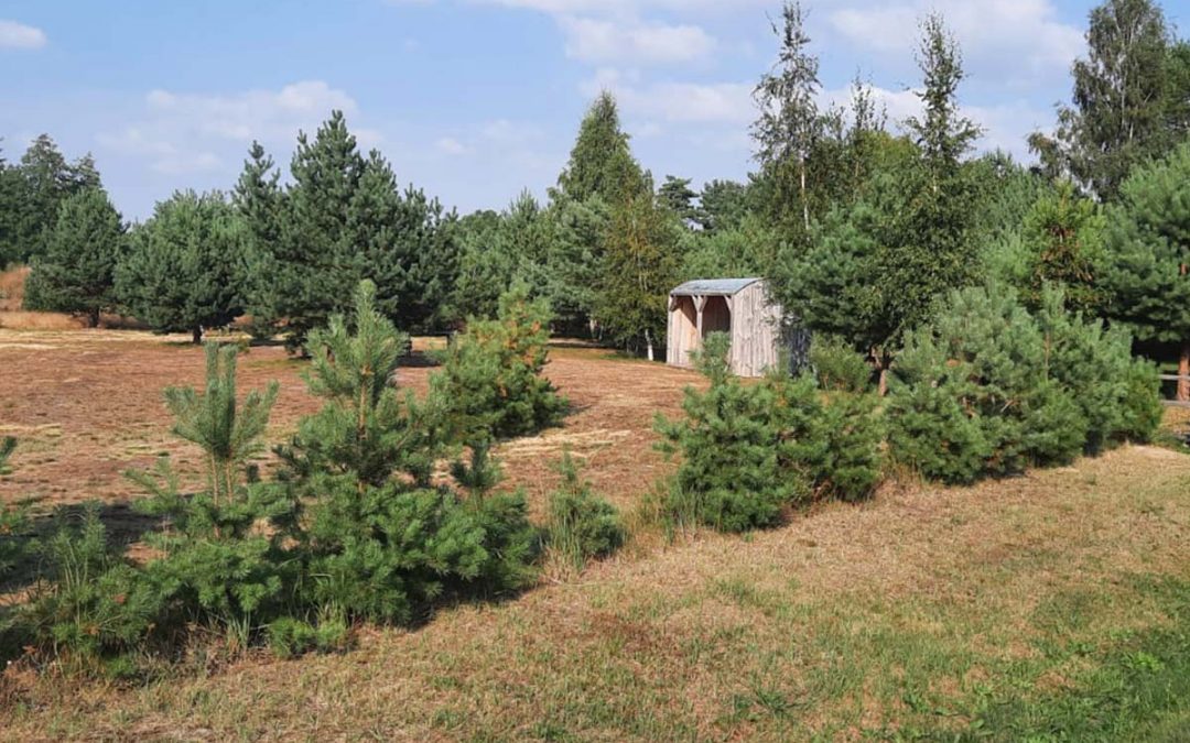 Camping Site “Jūrmaļjēkuļi”