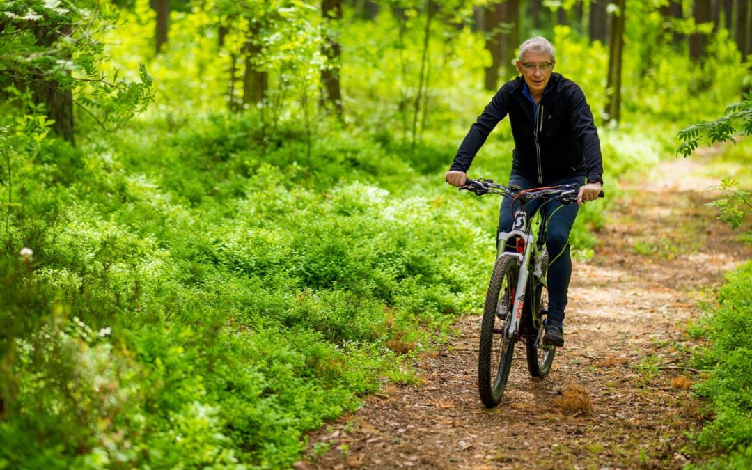 Go on a Bike Adventure